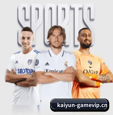 开云体育sportvip APP 界面