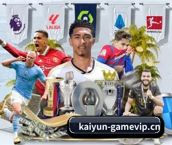 开云体育sportvip APP